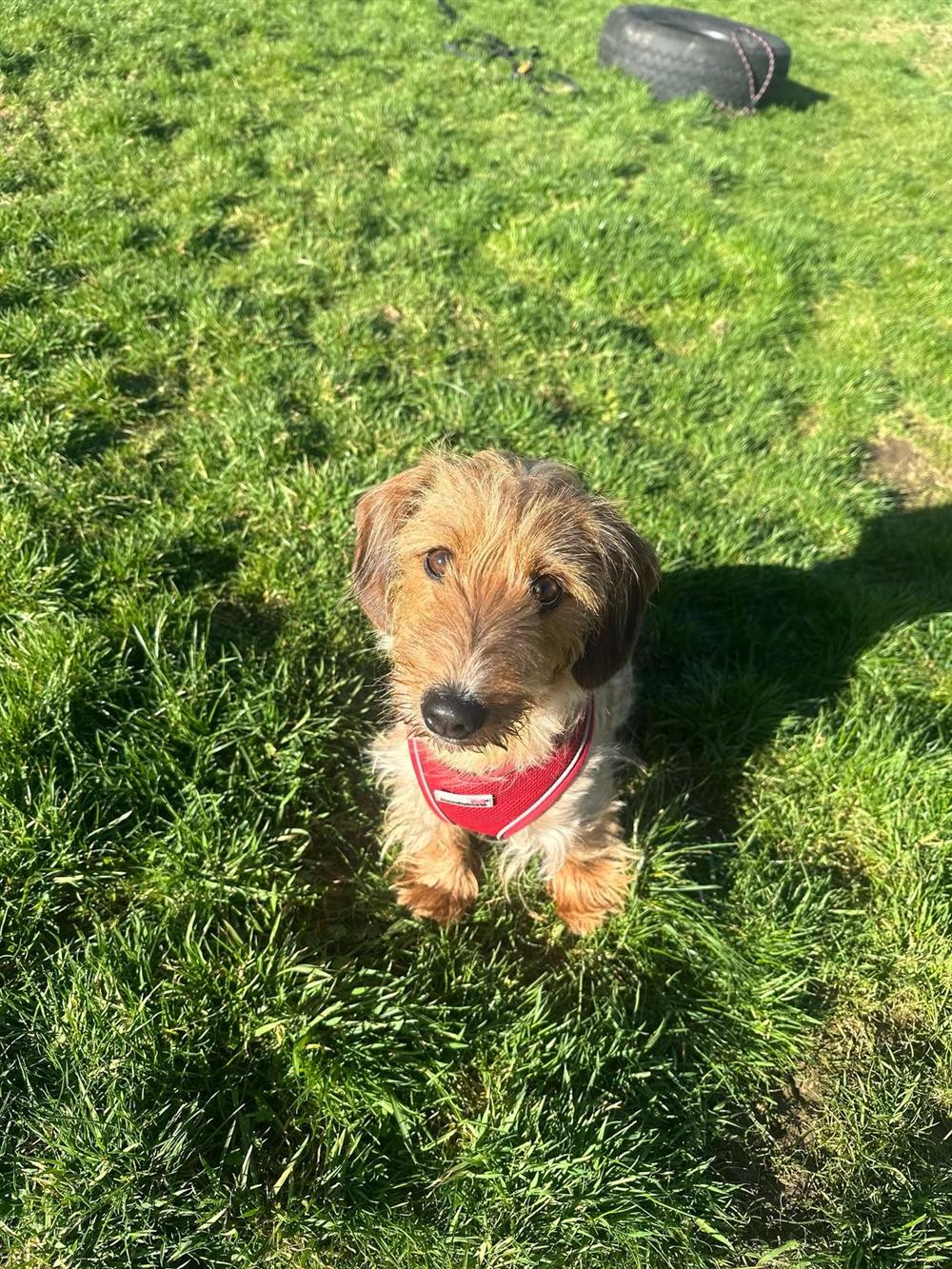 Willow11300