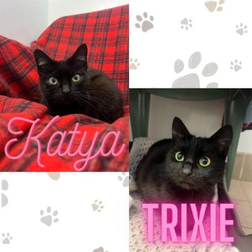 Katya And Trixie11539